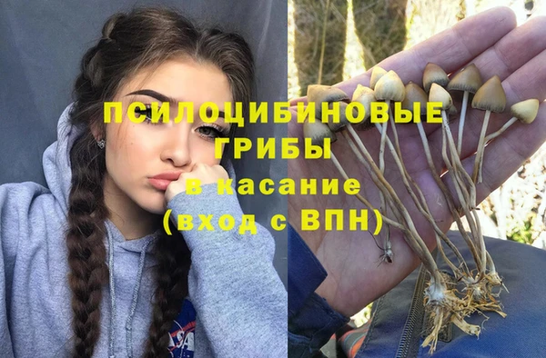 мет Краснослободск
